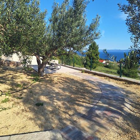 Holiday Home Vineyard House بول المظهر الخارجي الصورة