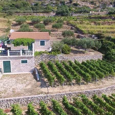 Holiday Home Vineyard House بول المظهر الخارجي الصورة