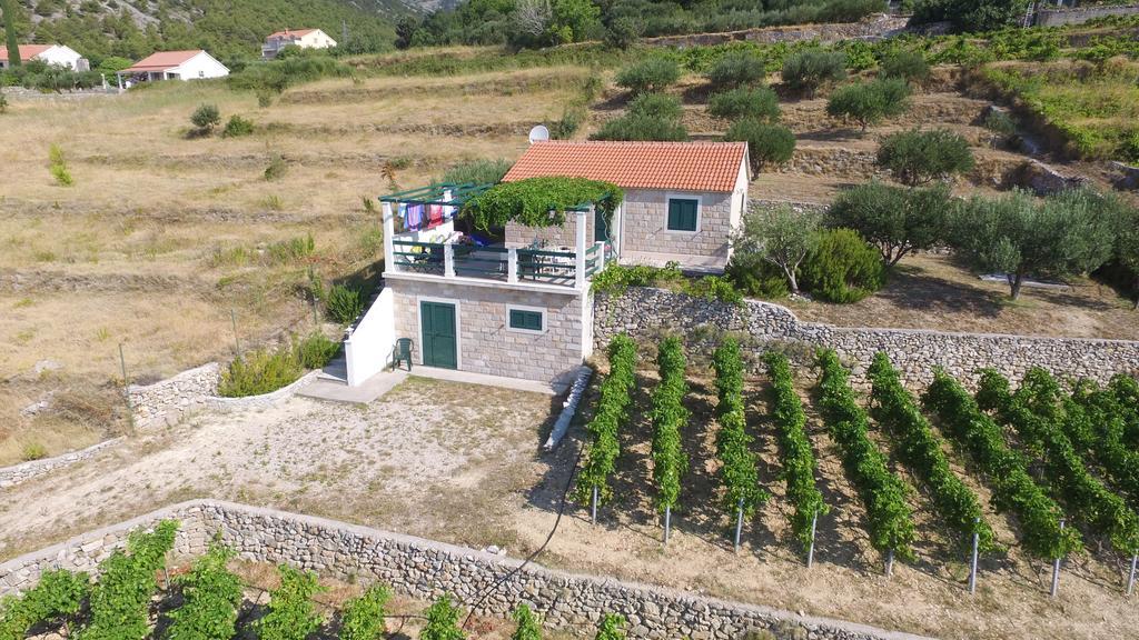 Holiday Home Vineyard House بول المظهر الخارجي الصورة