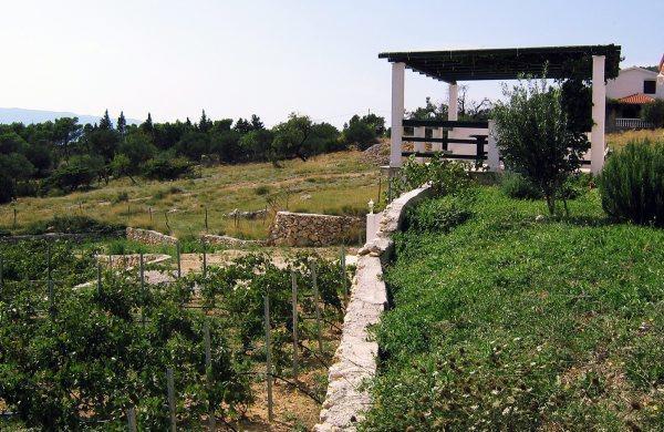 Holiday Home Vineyard House بول المظهر الخارجي الصورة