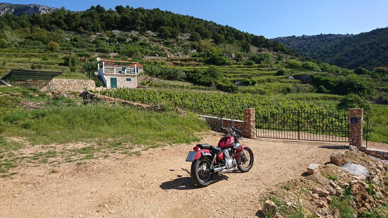 Holiday Home Vineyard House بول المظهر الخارجي الصورة