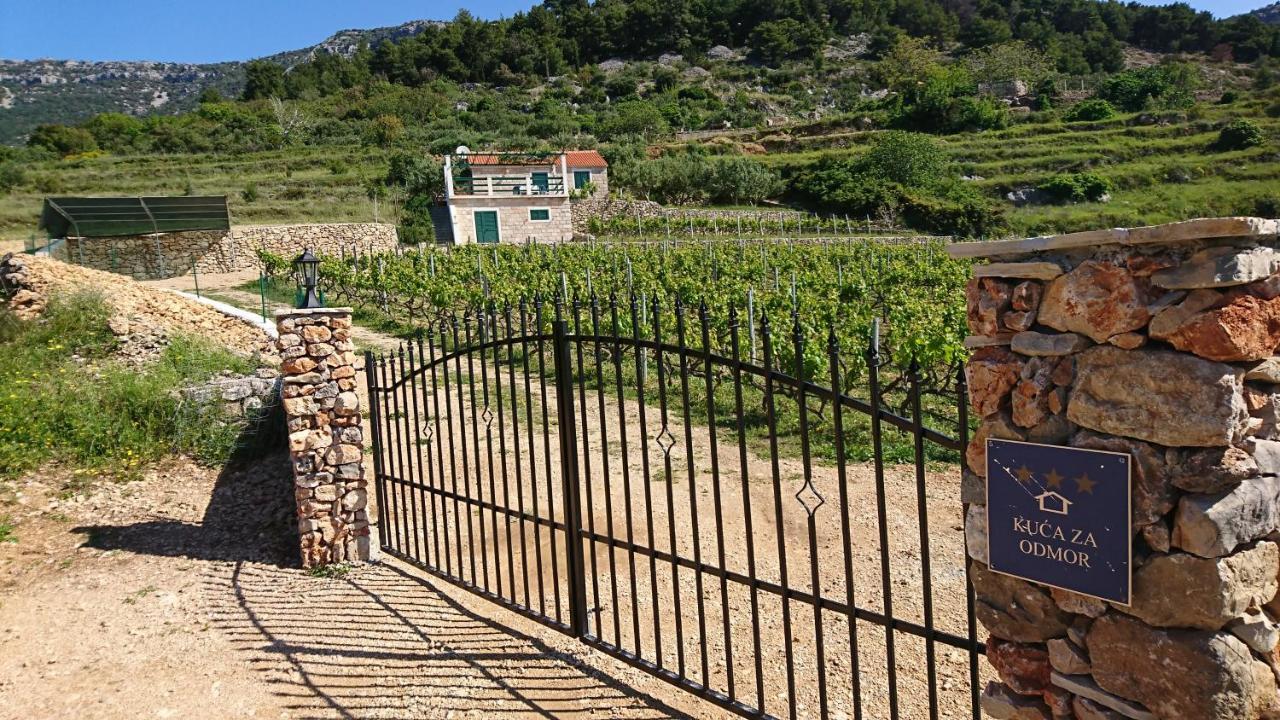 Holiday Home Vineyard House بول المظهر الخارجي الصورة