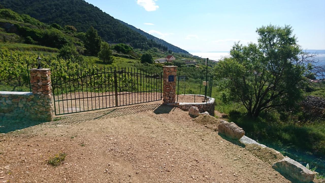 Holiday Home Vineyard House بول المظهر الخارجي الصورة