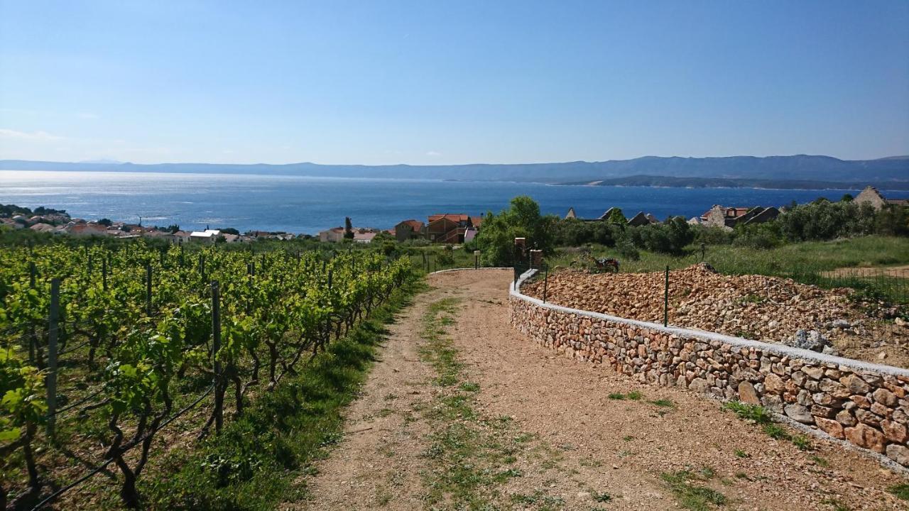 Holiday Home Vineyard House بول المظهر الخارجي الصورة