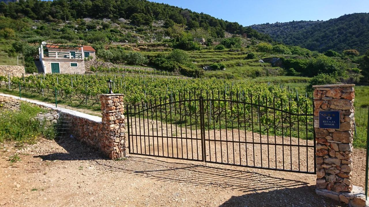 Holiday Home Vineyard House بول المظهر الخارجي الصورة